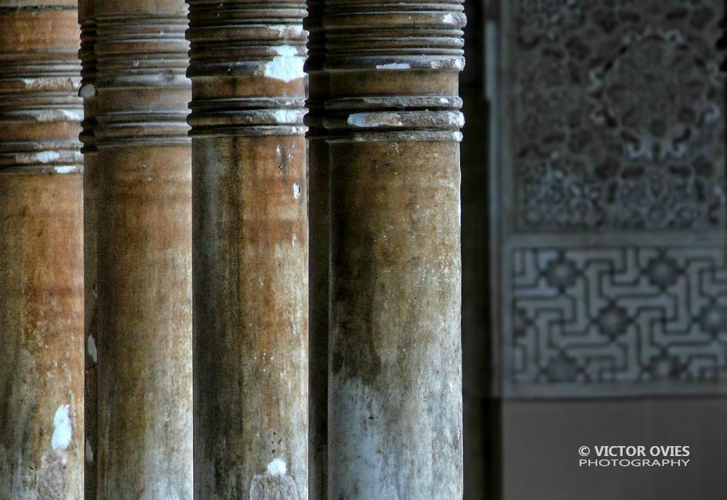 Patio de los Leones (detalle)